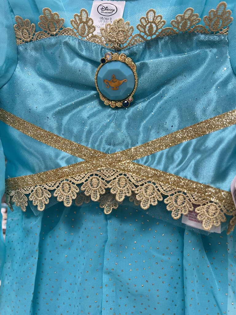 Princess Jasmine Costume *NEW*